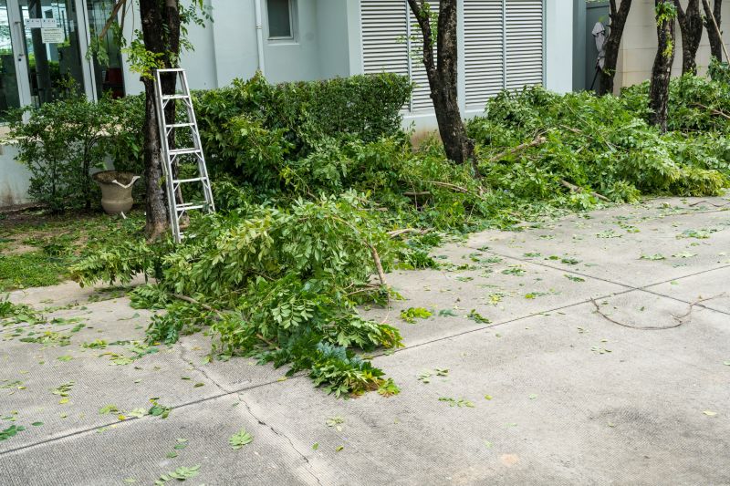 Cherry Tree Removal in Allentown, PA